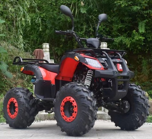 Quad agricolo atv - agricolo,